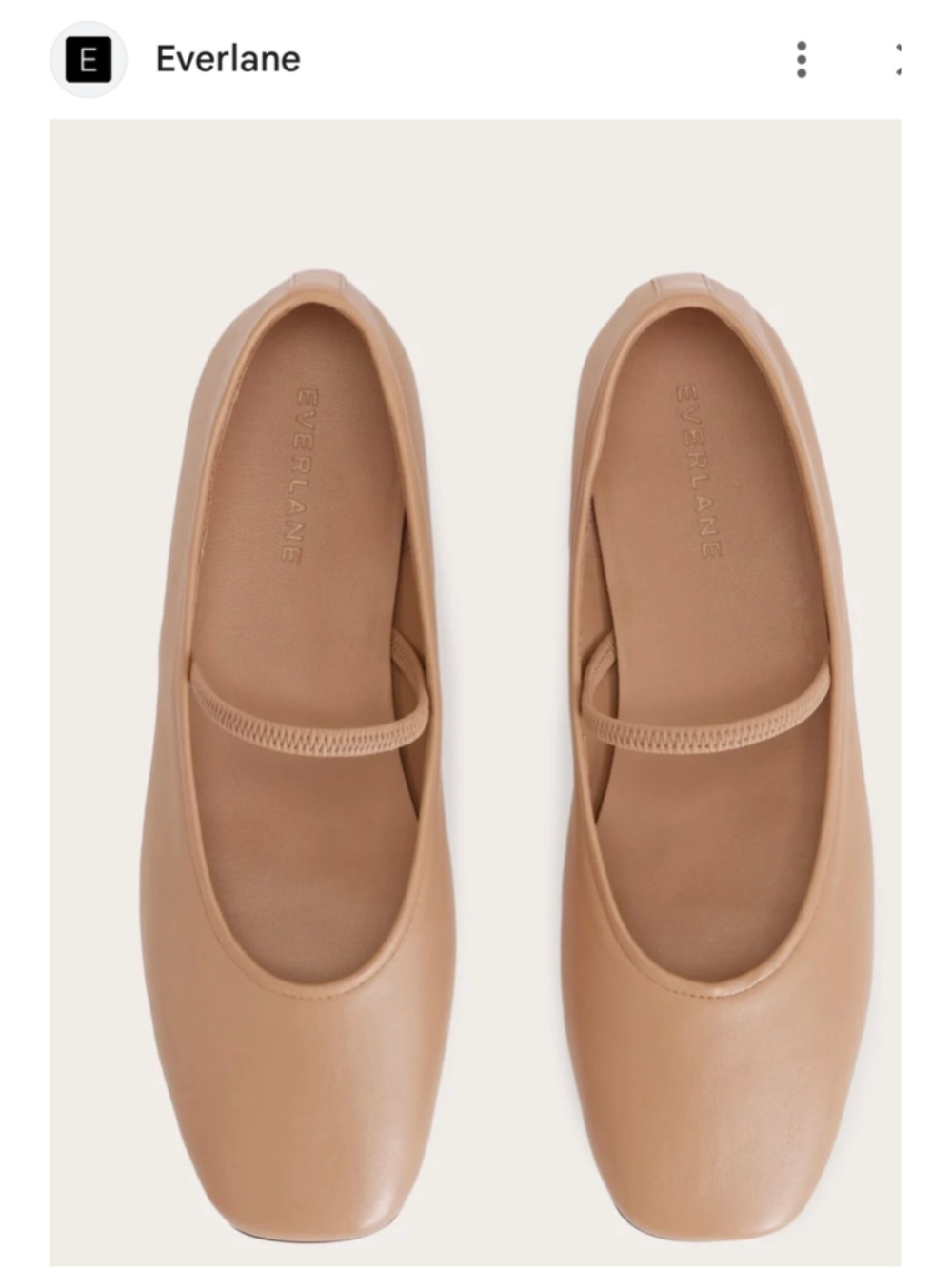 Women's Everlane The Day Mary Jane Flats Size 9.5 Blush Tan